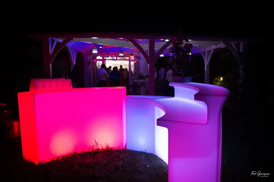 La Compagnie des Elfes — photo 8