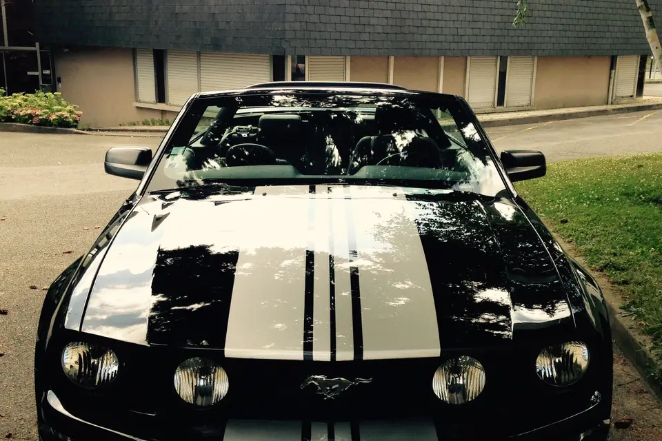 Willou's Car — photo 1