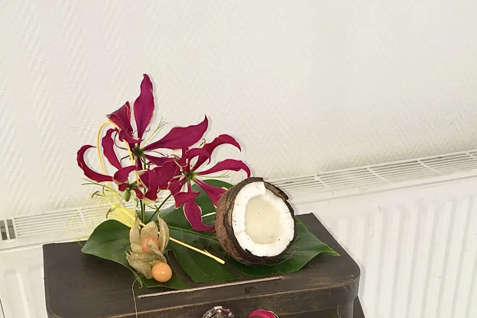 Volubilis — photo 5