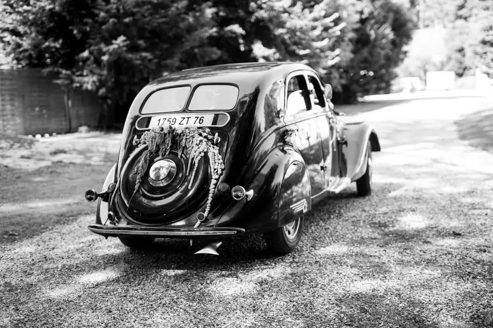 Volubilis — photo 6