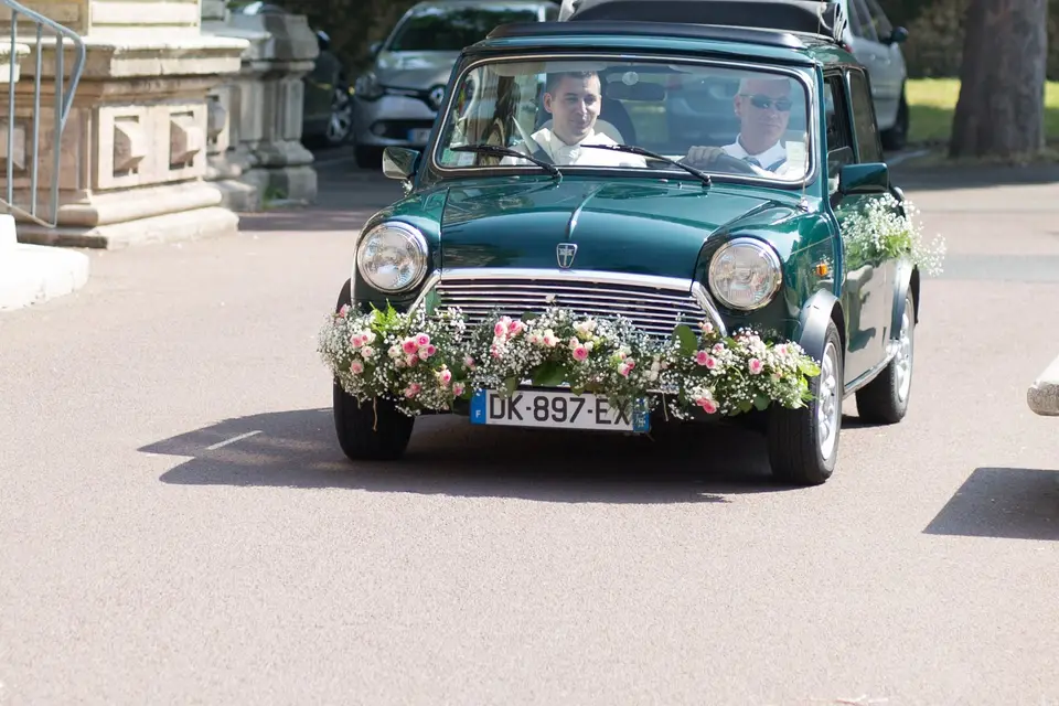 Volubilis — photo 7