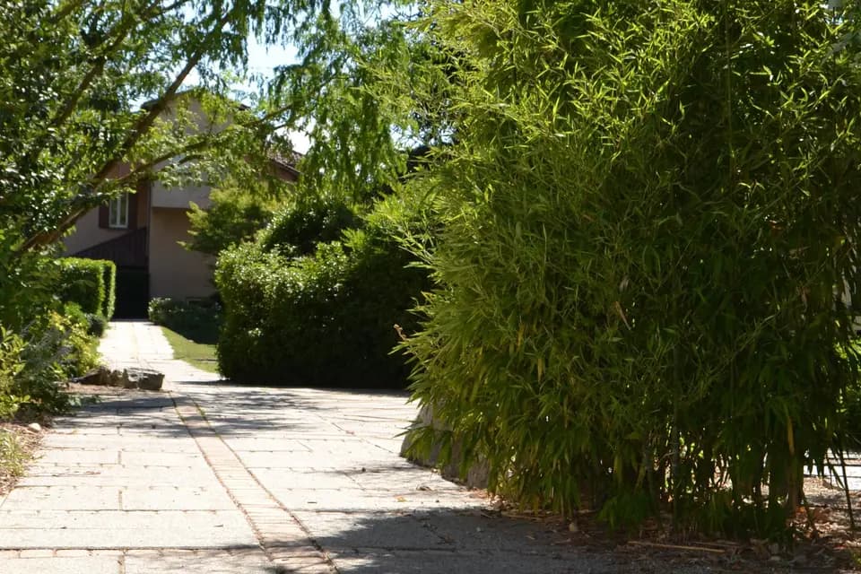 MFR de Chaumont — photo 5