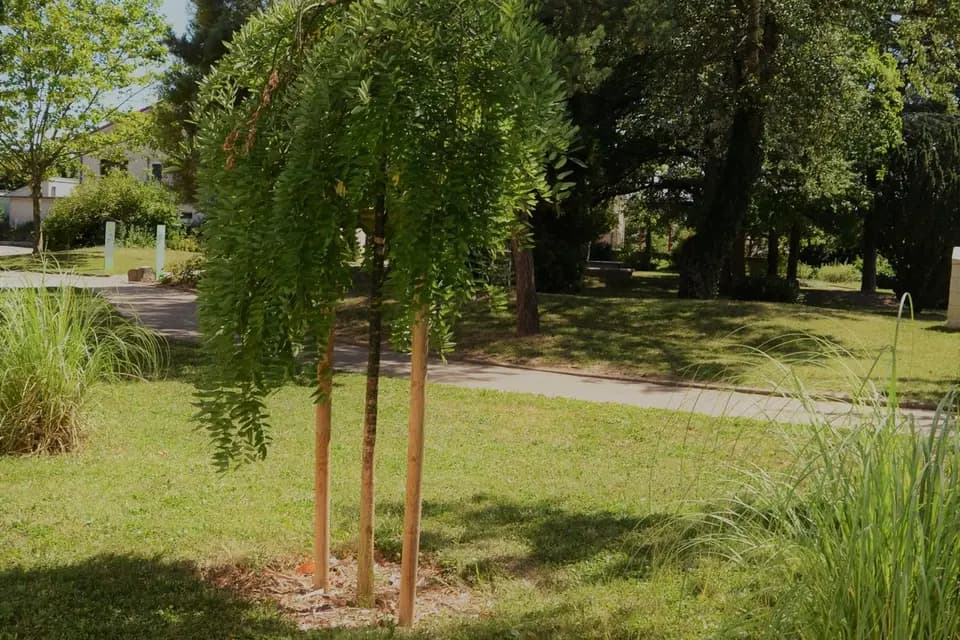 MFR de Chaumont — photo 1