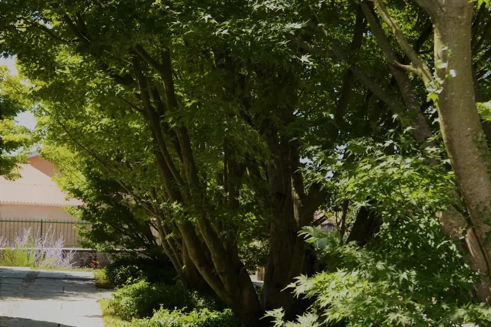 MFR de Chaumont — photo 3