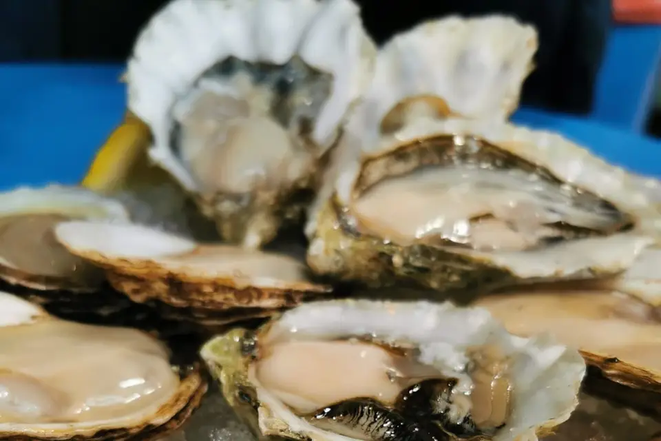 Alban Bernard — photo 4