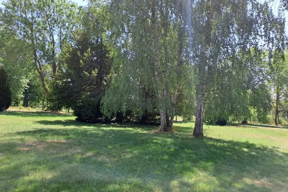 Château des Aulnes — photo 7