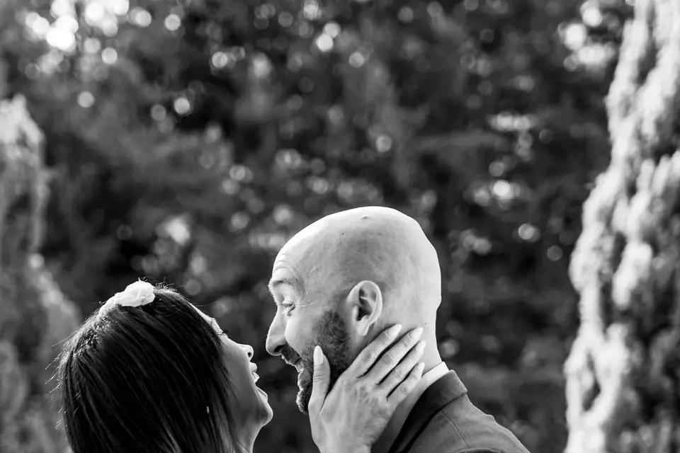 Château des Aulnes — photo 6