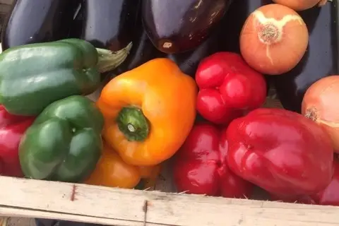 Location tourne-broche Isère — photo 7