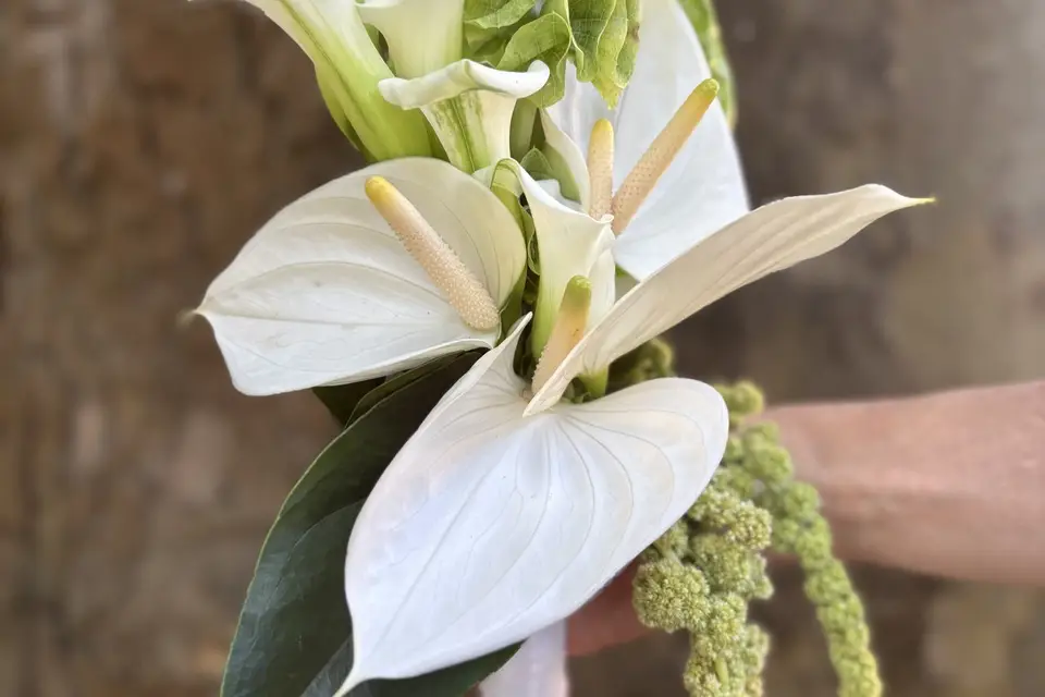 Le Lavoir — photo 2