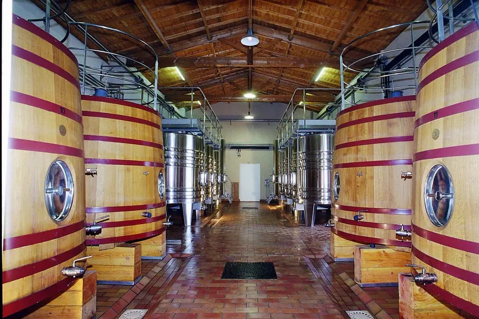 Château Grand Ormeau — photo 5