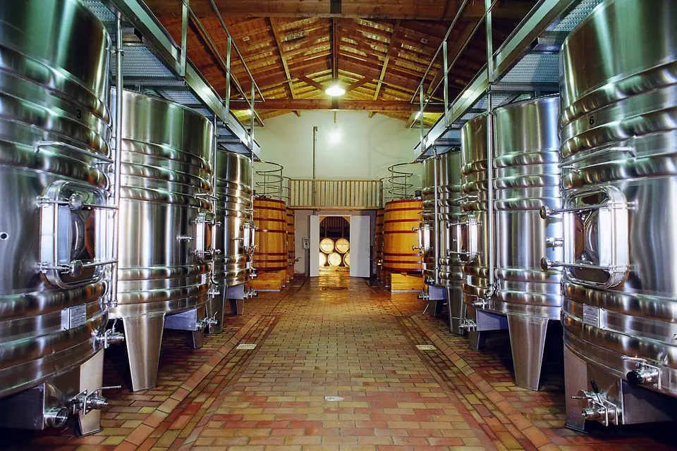 Château Grand Ormeau — photo 6