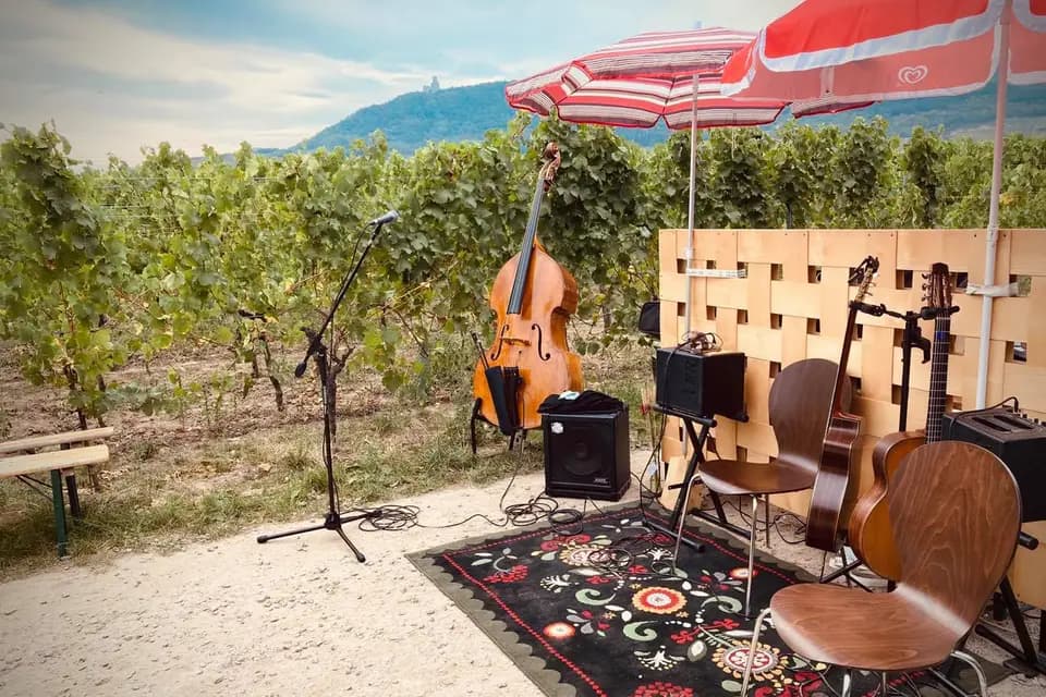 Mundo Swing — photo 3