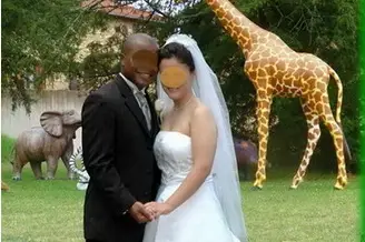 Magique Aventure — photo 3