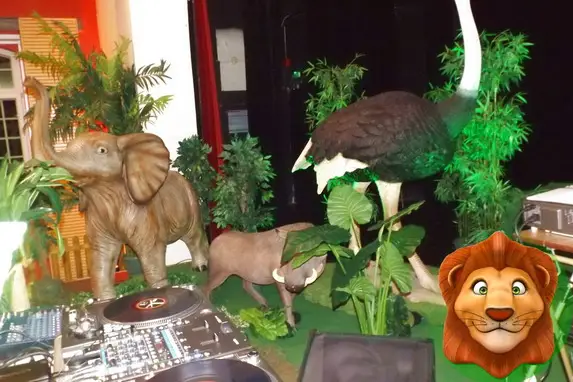 Magique Aventure — photo 4