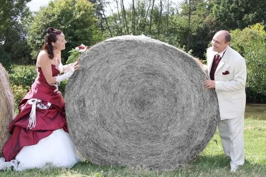 Phil Dallois Organisation — photo 6