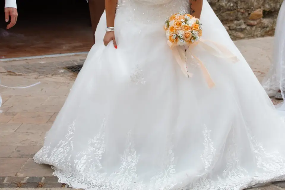 Influweb — photo 8