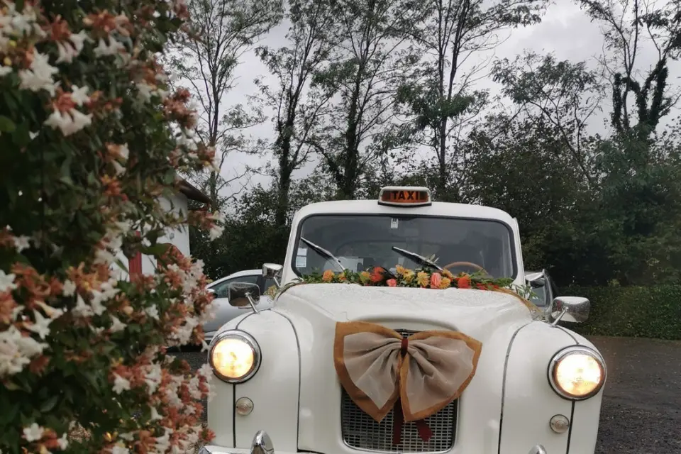 Fannysblossoms — photo 4