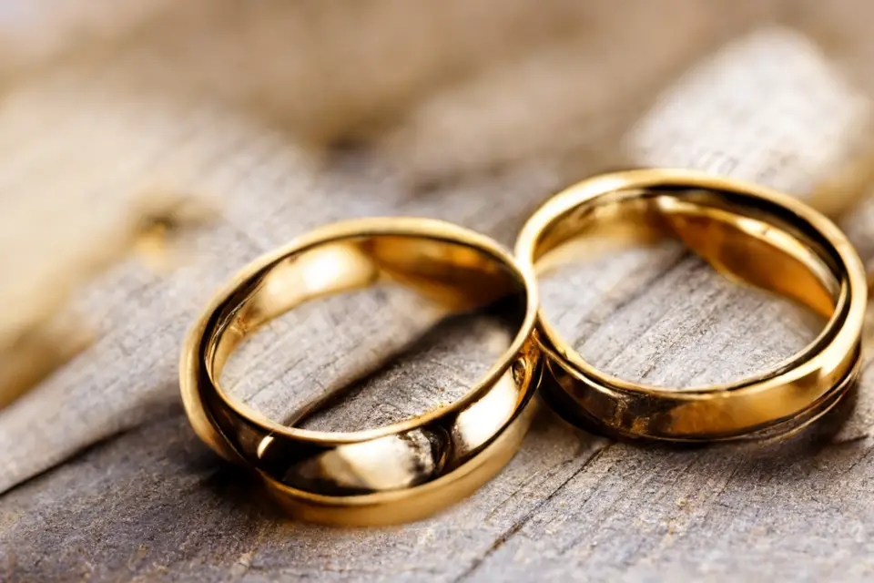 Wow-Corp — photo 7