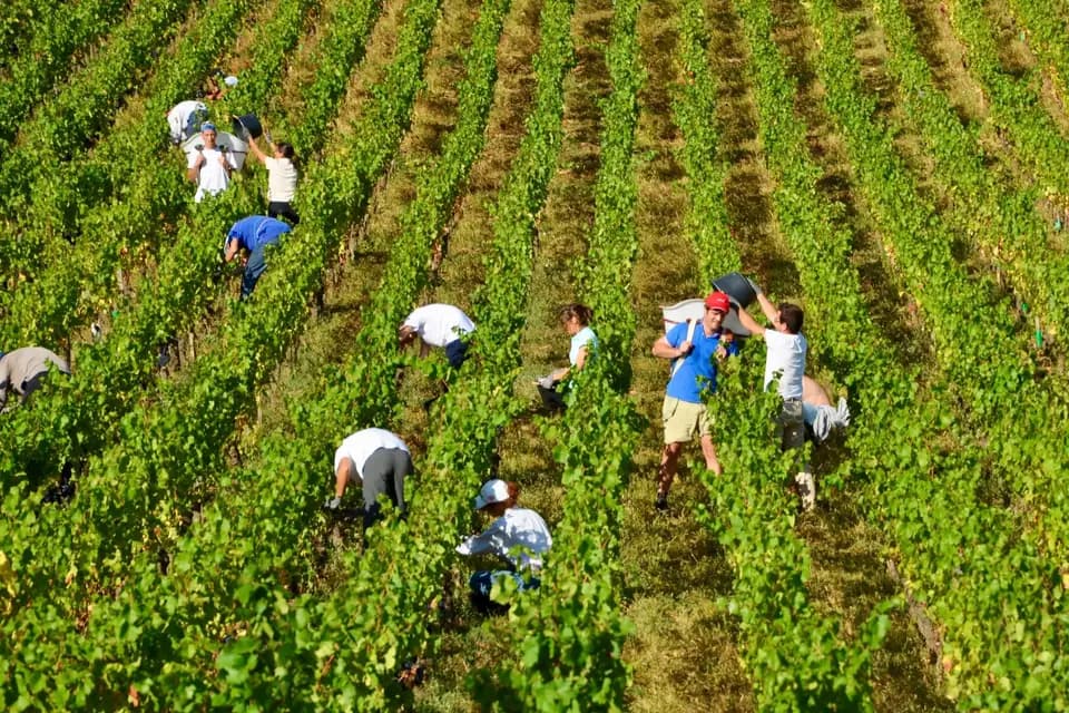 Domaine Clos Saint Jean — photo 1