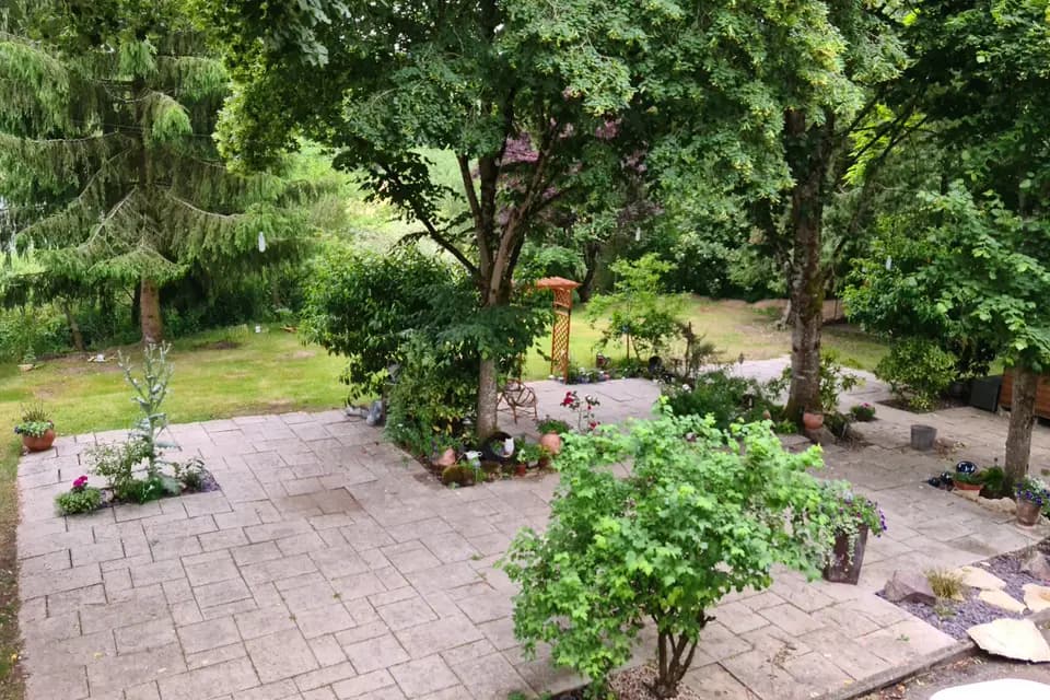 La Guinguette du Neuf Moulin — photo 1