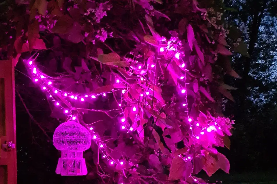 La Guinguette du Neuf Moulin — photo 4