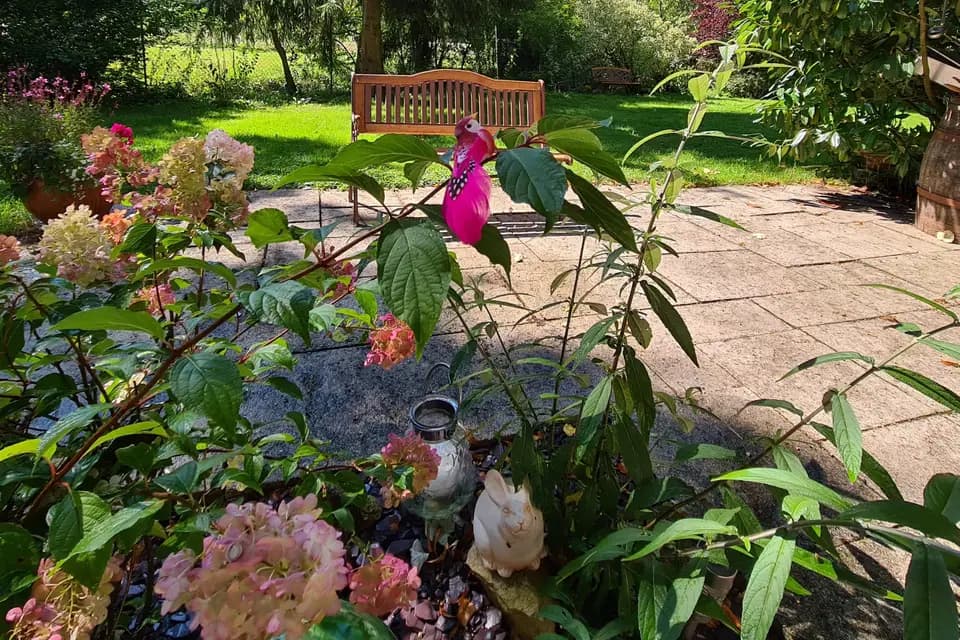 La Guinguette du Neuf Moulin — photo 2