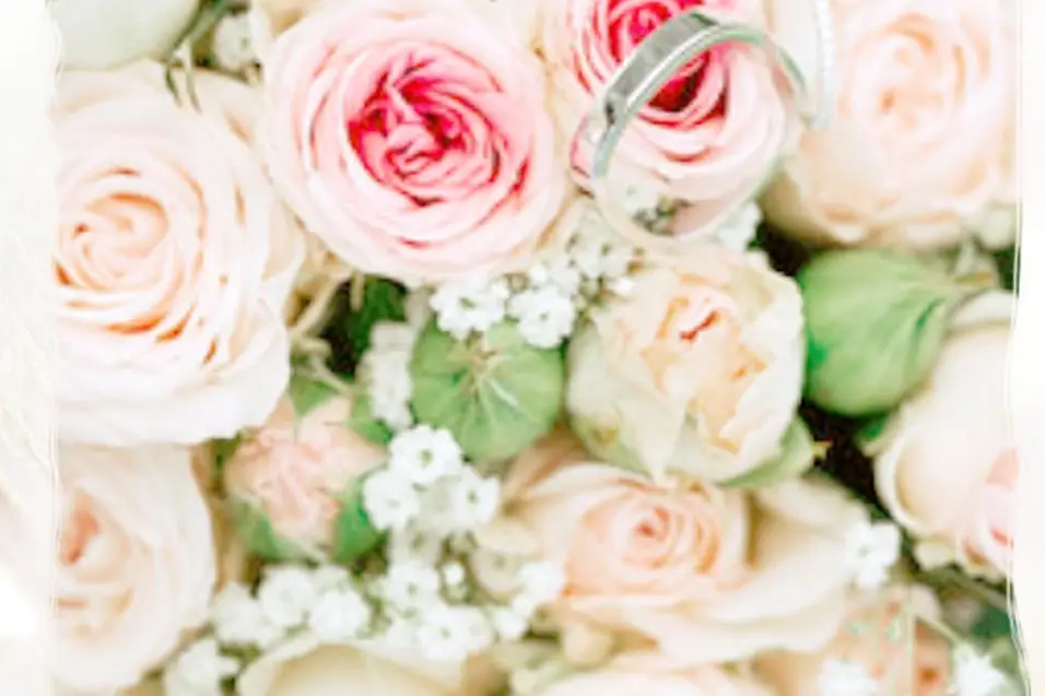 Bella Wedding — photo 1