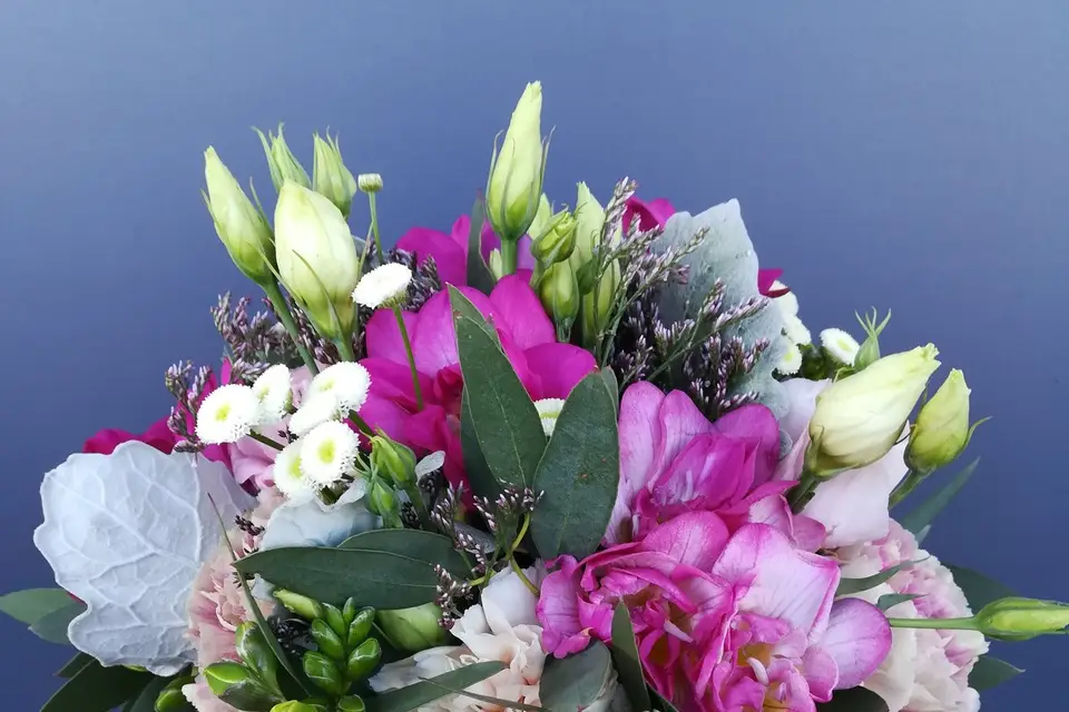 NaturElément — photo 6