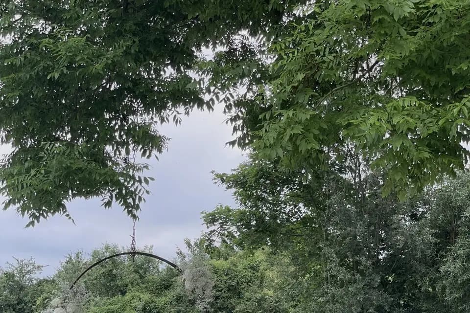 L'atelier en herbe - Chloé Pagney — photo 3