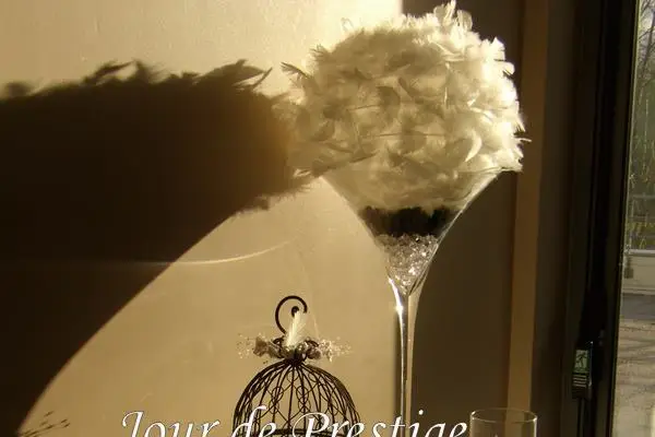 Boules de Plumes — photo 4