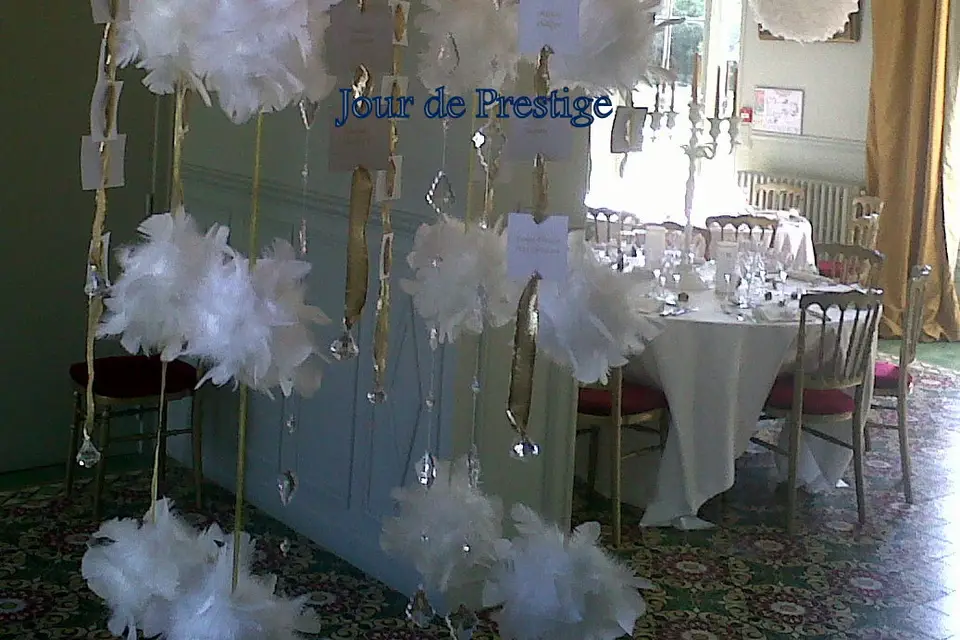 Boules de Plumes — photo 8