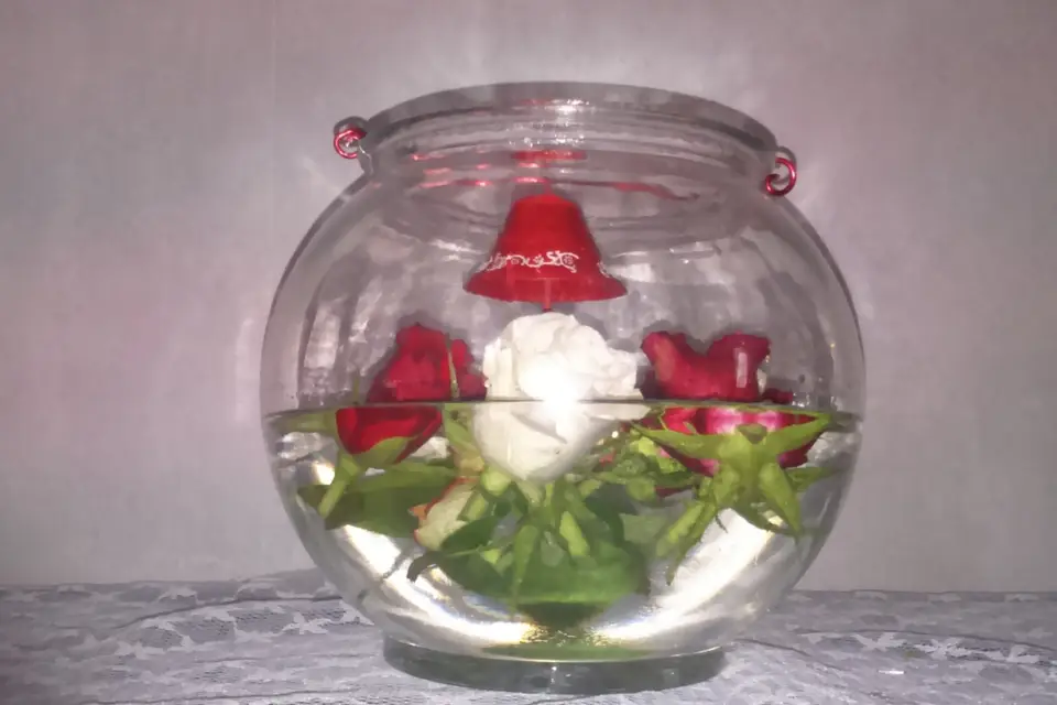 La Petite Bouquetière 50 — photo 1