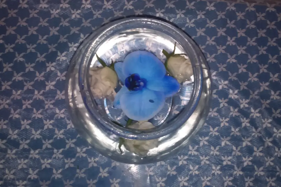 La Petite Bouquetière 50 — photo 5