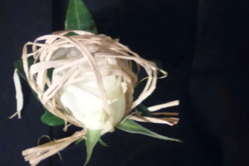 La Petite Bouquetière 50 — photo 7