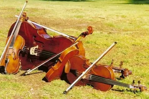 Musique Mariages/Réceptions — photo 5