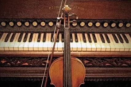 Musique Mariages/Réceptions — photo 4