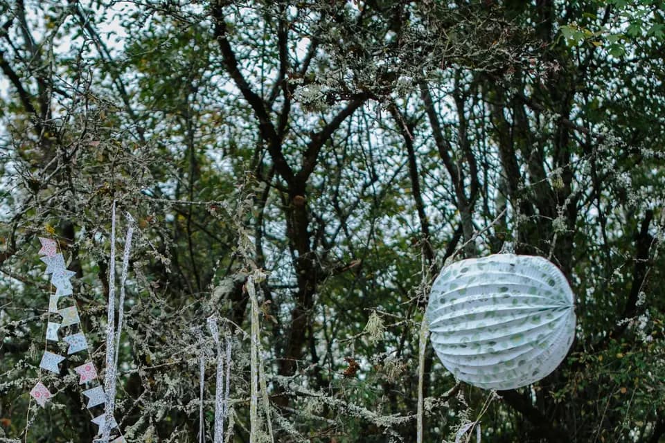 Apostrophe Déco — photo 4