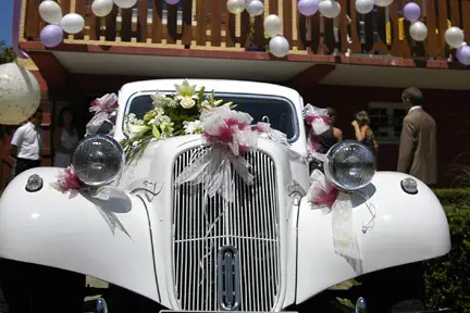 Reflets de Nature — photo 6