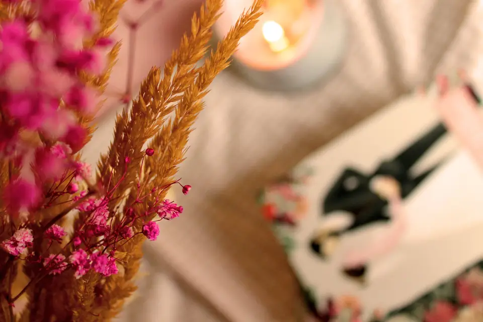 Clémence Gagliardi — photo 4