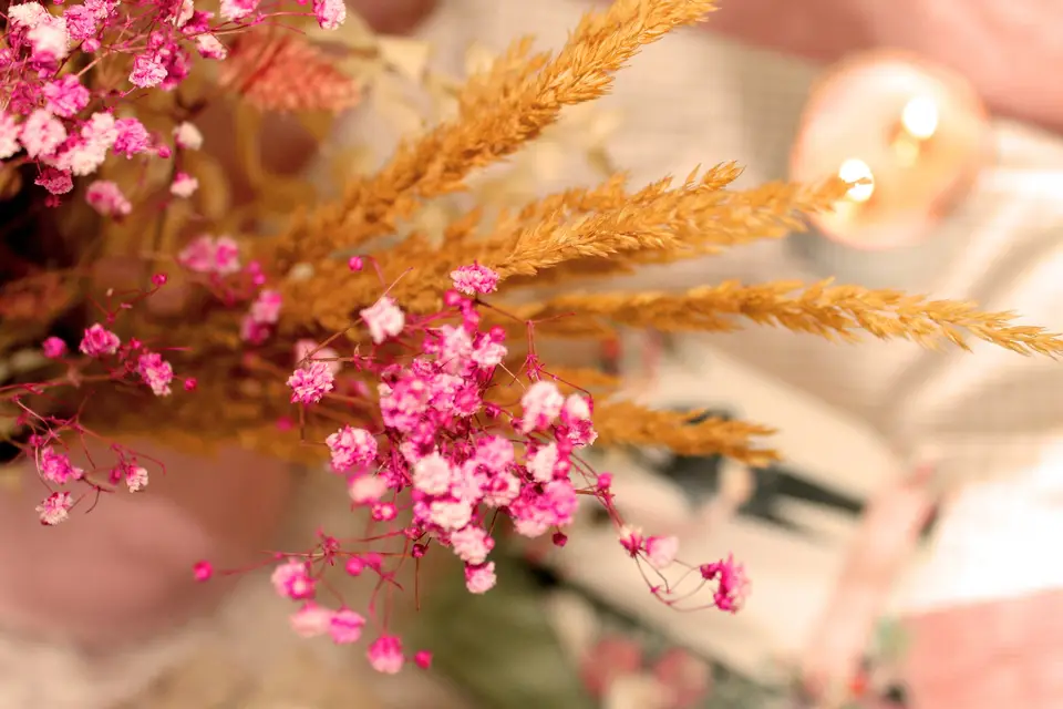 Clémence Gagliardi — photo 5