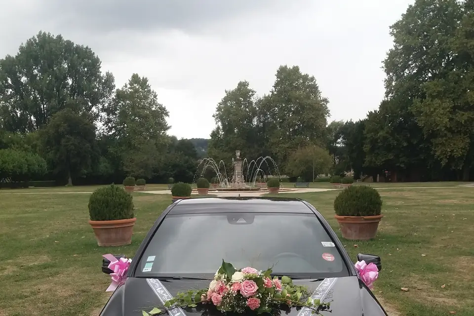 Hervé Trolliet VTC — photo 6