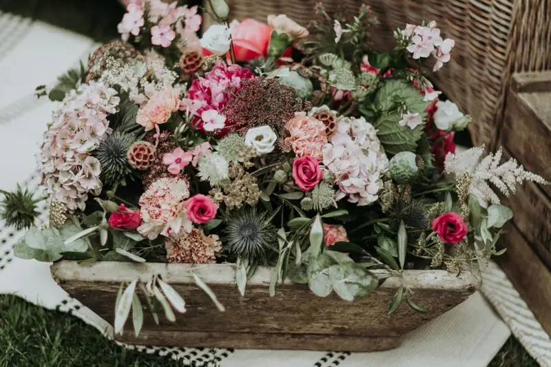 Mademoiselle dit Oui — photo 2