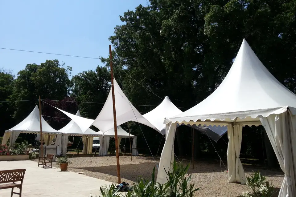 Structura — photo 7