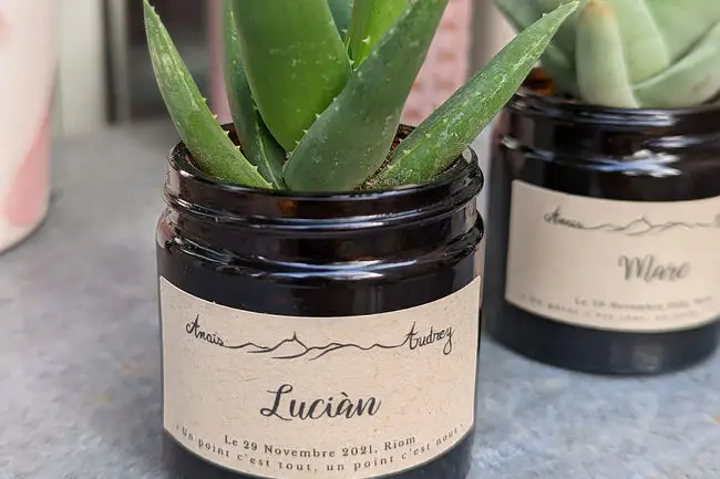 Les Contes Succulents — photo 3