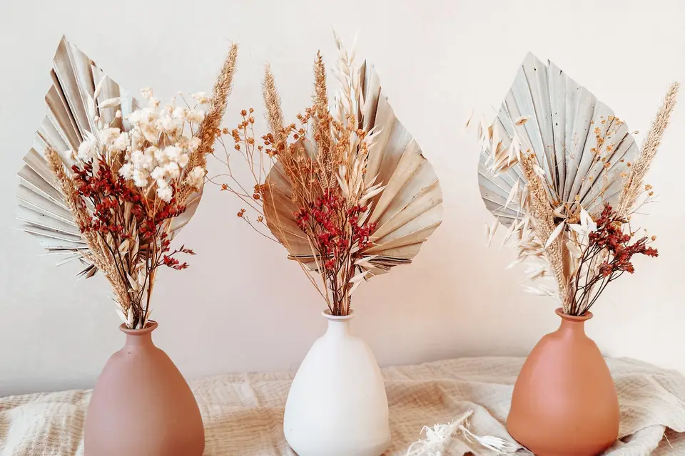 Made Moiselle Pampa — photo 2