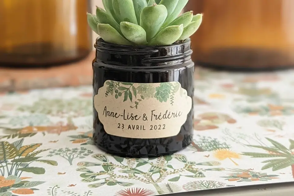 Les Contes Succulents — photo 2