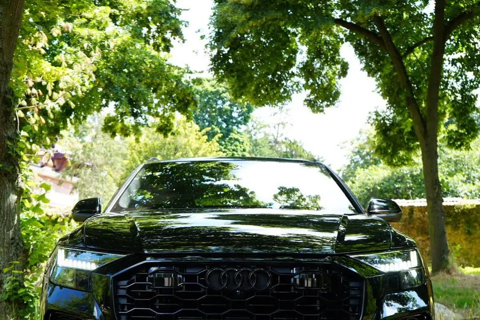 Black Card Club — photo 6