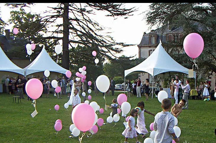 Festi Concept — photo 3