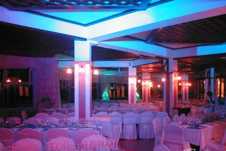 Festi Concept — photo 5