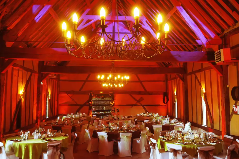 Festi Concept — photo 8